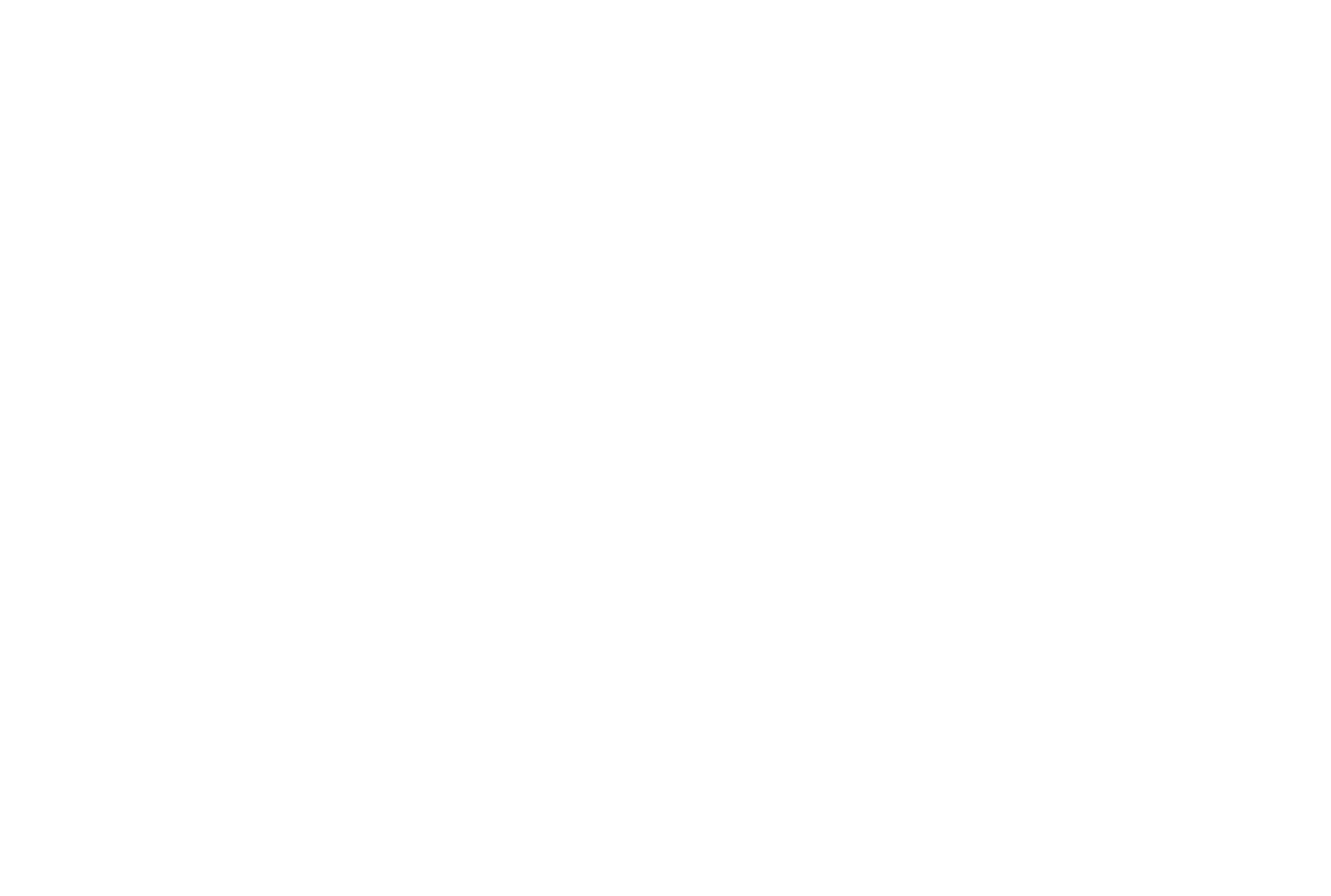 Pluut & Partners